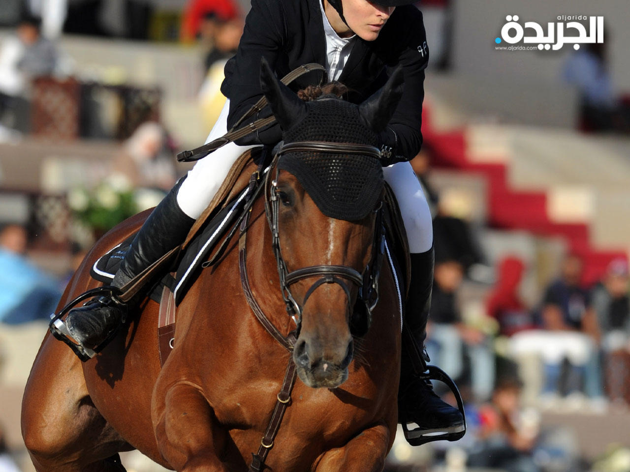 تشكيل أول اتحاد كويتي للفروسية