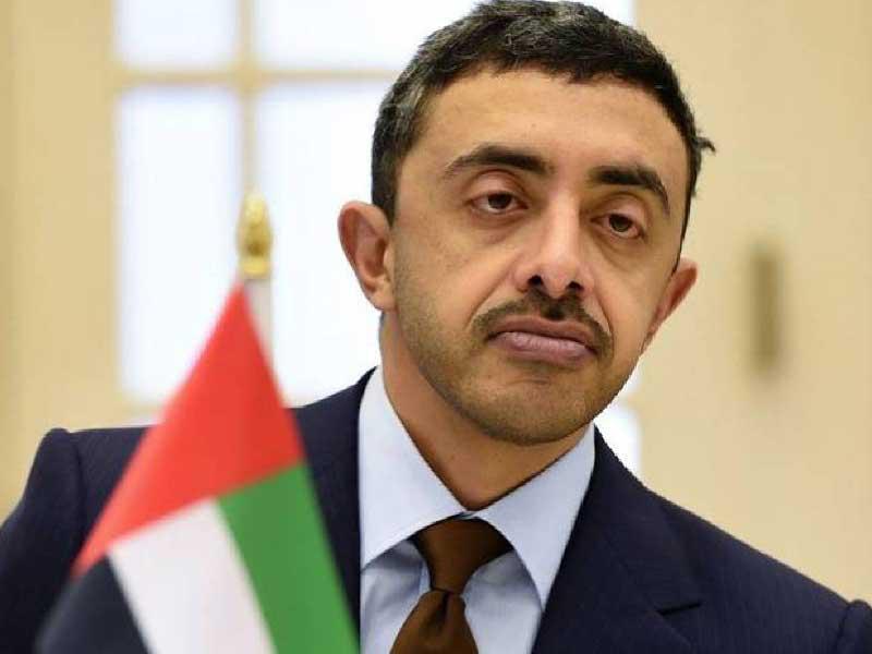 وزير الخارجية الإماراتي عبدالله بن زايد