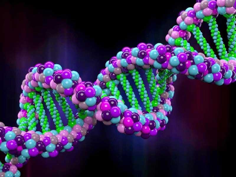 الشكل الأيقوني لجزيء الحمض النووي