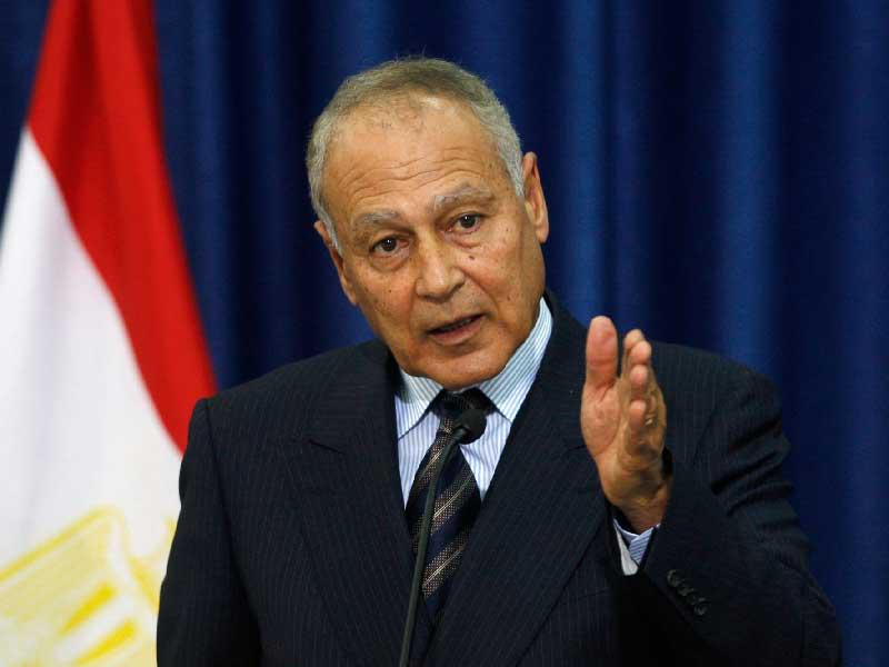 السفير أحمد أبوالغيط