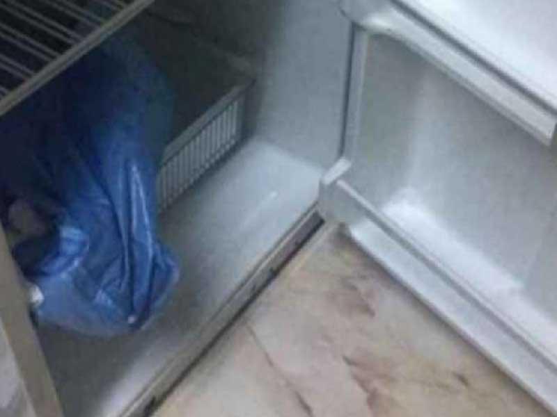 يابانية تخفي والدتها 10 سنوات في ثلاجة