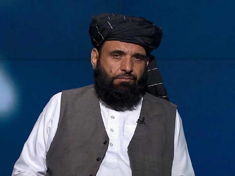 عضو فريق حركة «طالبان» محمد سهيل شاهين