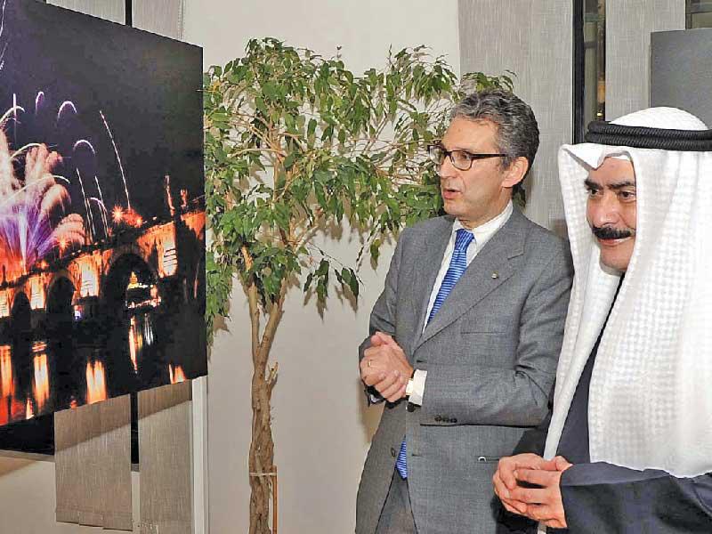 جولة في المعرض وشرح لإحدى الصور  