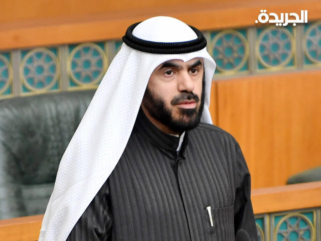 النائب أسامة الشاهين