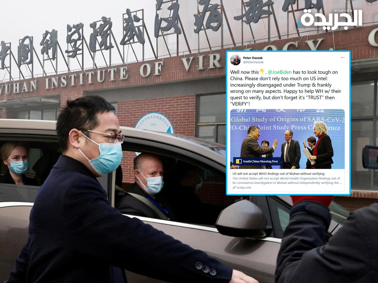 تغريدة بيتر دازاك