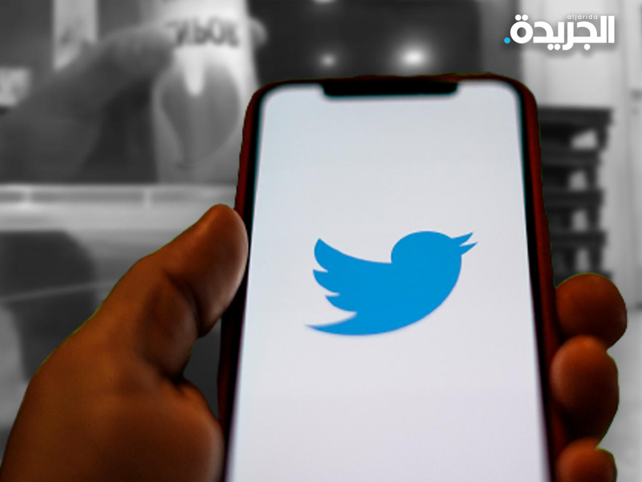 قتل صغار القطط يشعل غضب المدونين ونشطاء حقوق الحيوان