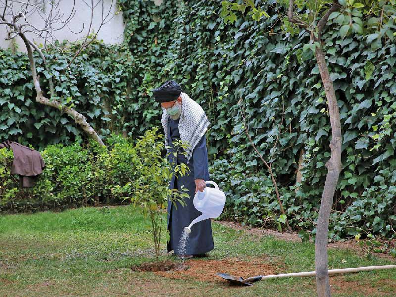 المرشد الإيراني علي خامنئي يغرس شجرتين أمس الأولt (إرنا)