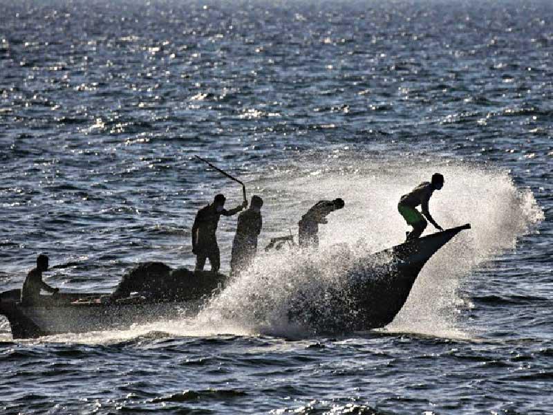 مقتل 3 صيادين قبالة سواحل قطاع غزة وإسرائيل تنفي تورطهاn