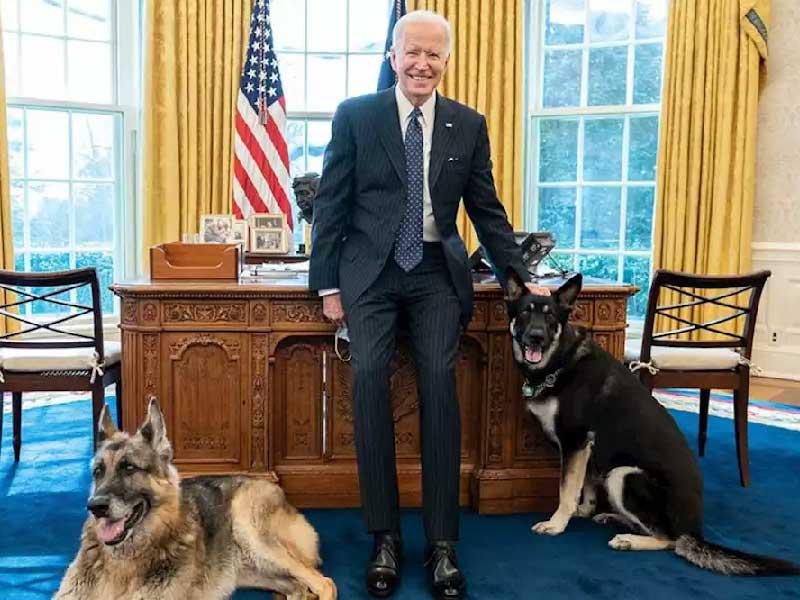 الرئيس الأميركي جو بايدن برفقة  كلبيه الضخمين