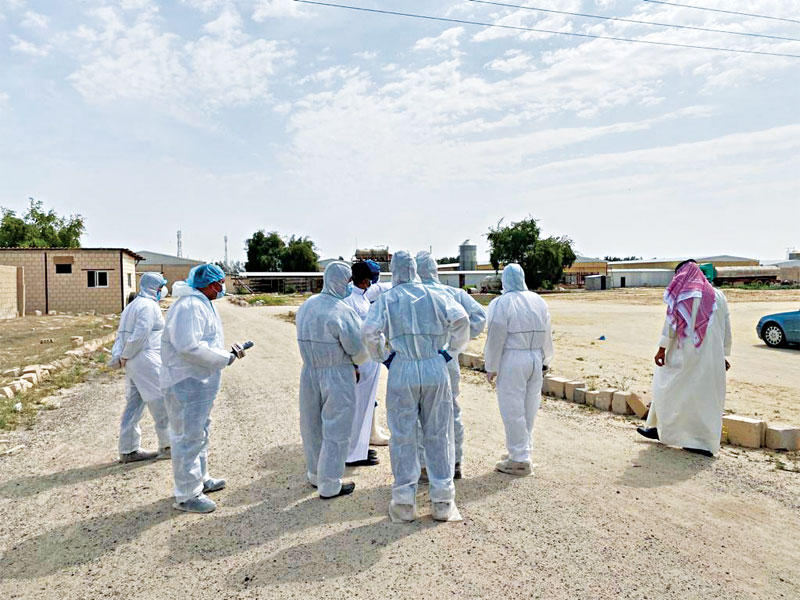 المدير العام للهيئة محمد اليوسف خلال حملة إعدام الدواجن المصابة أمس