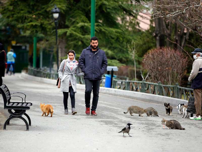 ثنائي إيراني من الشباب في إحدى حدائق طهران (اي بي ايه)n