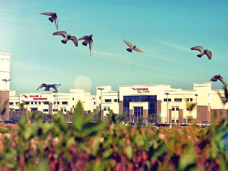  جامعة الشرق الأوسط الأميركية (AUM)