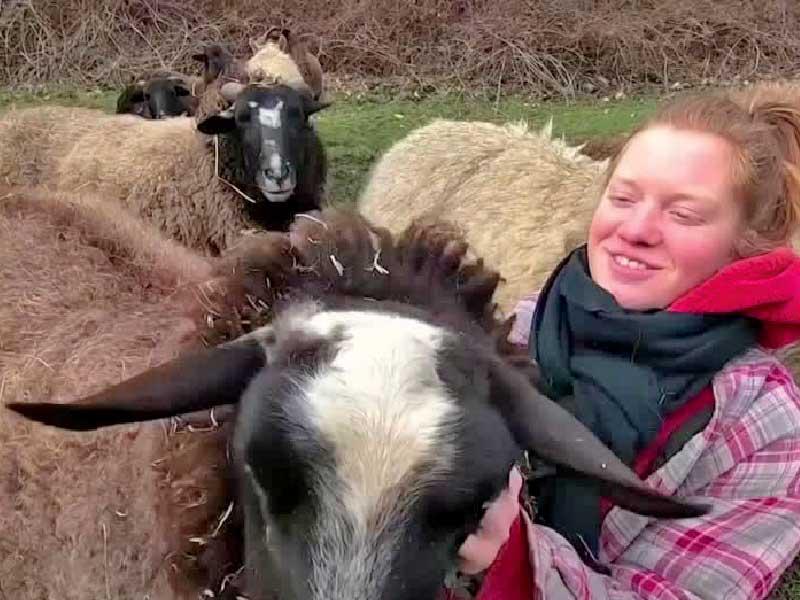 سيدة تقوم باحتضان أحد إنام  المزرعة 