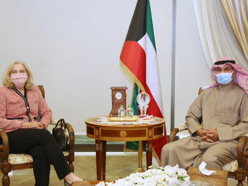  نائب وزير الخارجية السفير مجدي الظفيري خلال لقائه السفيرة الأميركية 