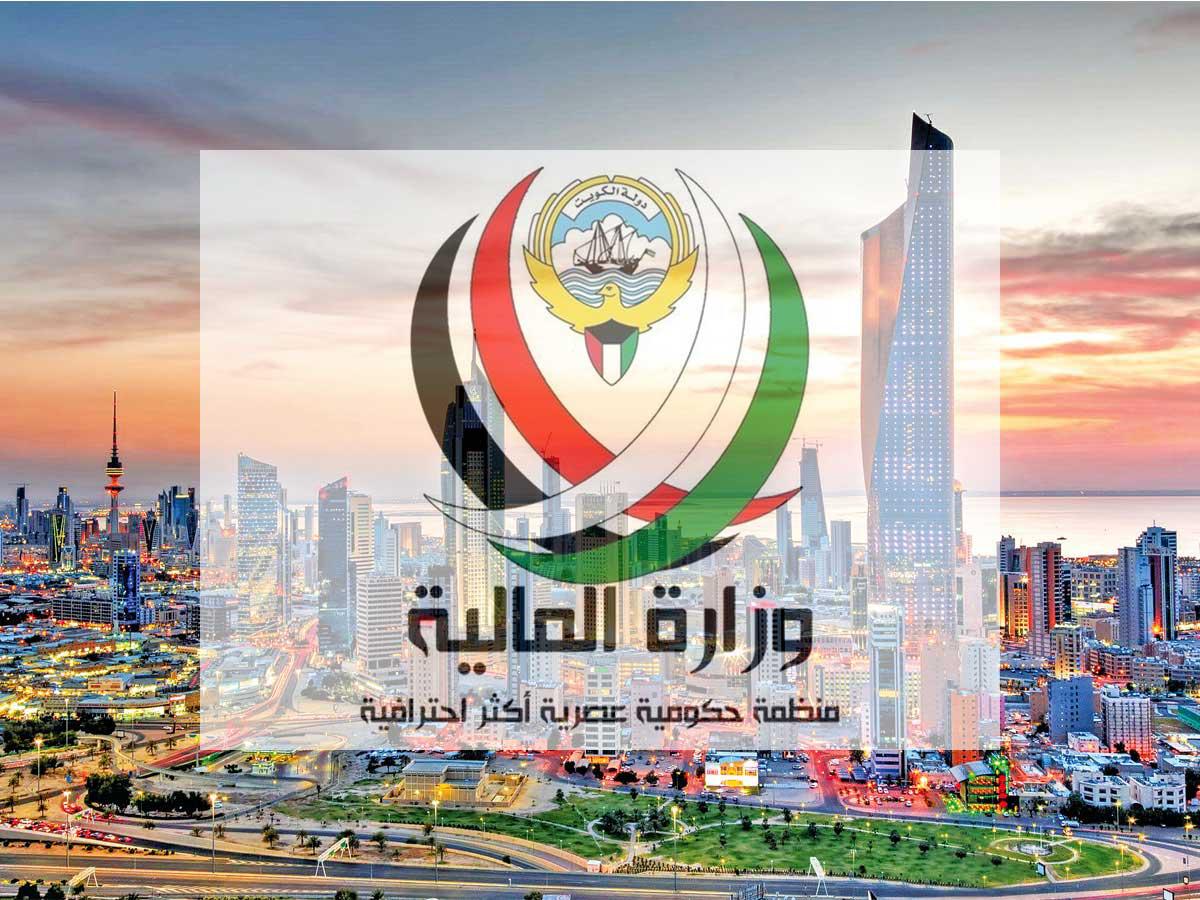 وزارة المالية 