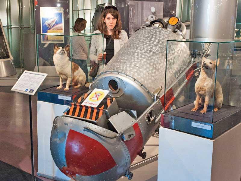  الكلبان فيتيروك وأوغالوك