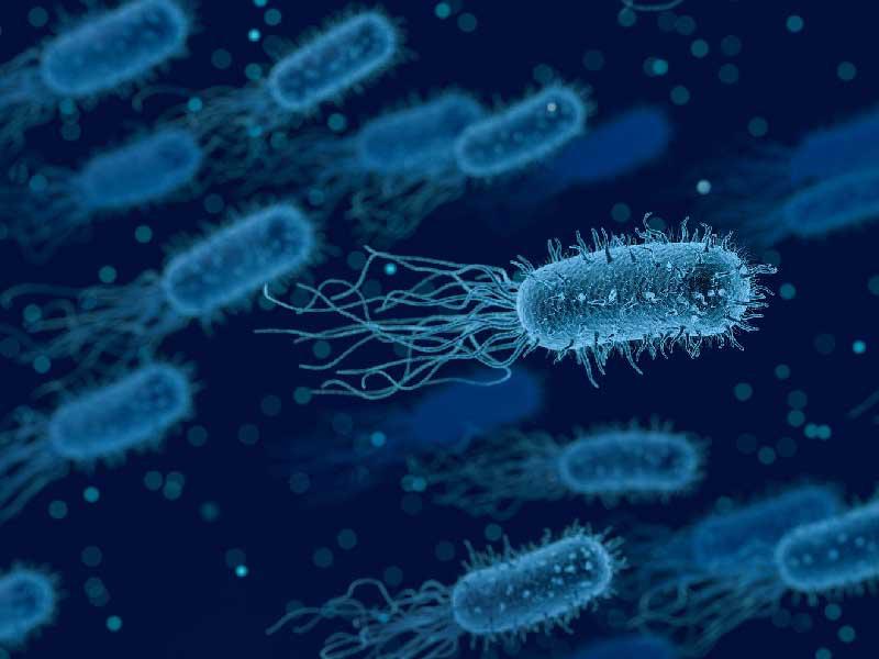 بكتيريا يتعذر اكتشافها