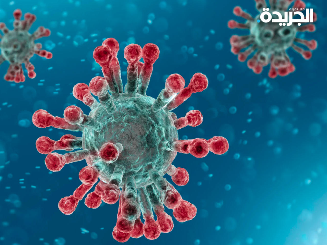 فيروس كورونا «صورة تعبيرية»