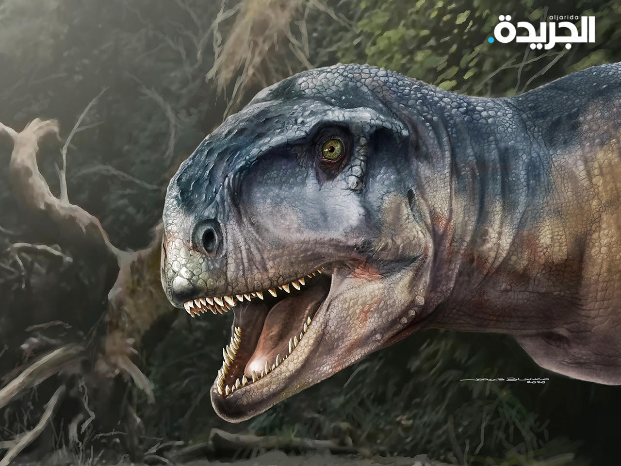 الكشف عن جمجمة ديناصور مفترس عاش في الأرجنتين