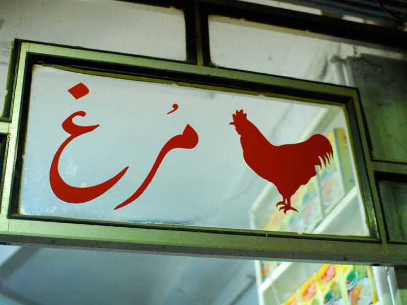 محل دجاج في إيران