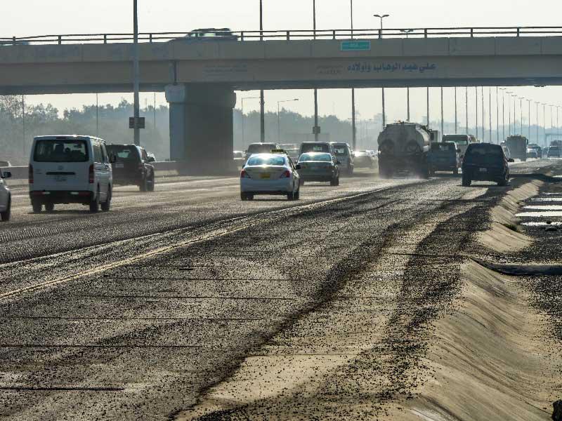 تطاير الحصى نموذج متكرر لإخفاقات «هيئة الطرق»