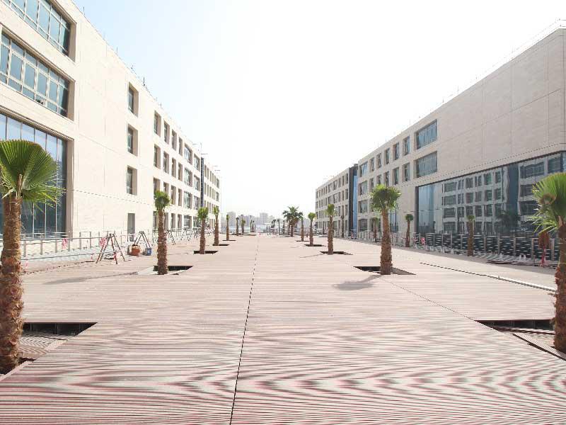 جانب من مباني سكن الطلبة في الشدادية