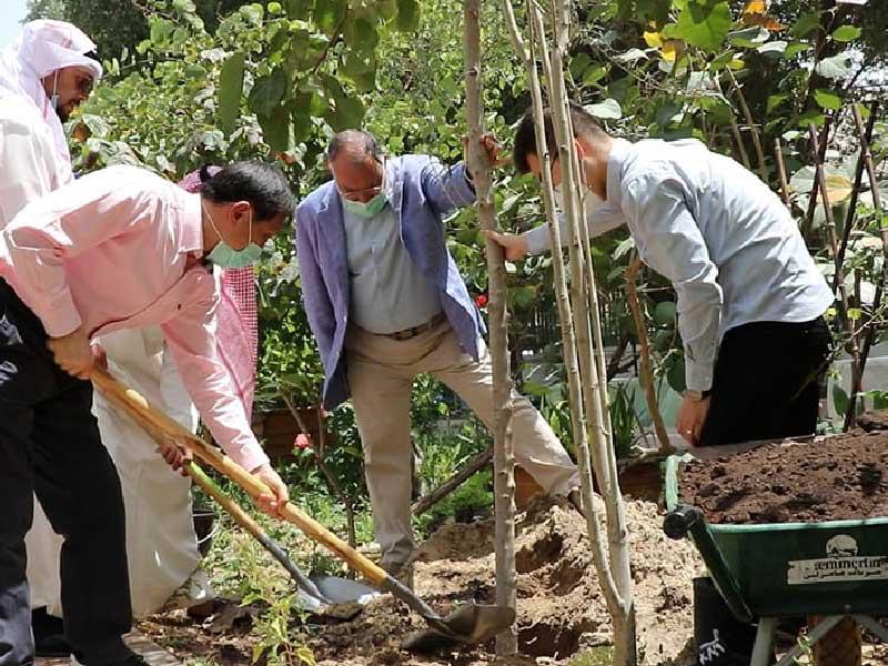 السفير الصيني يزرع شجرة الصداقةn