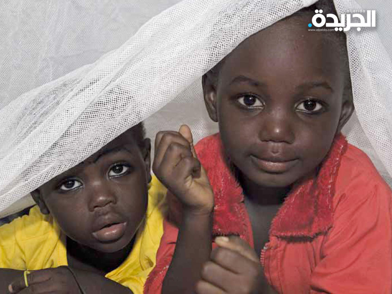 «الصحة العالمية» تعتزم القضاء على الملاريا في 25 بلداً