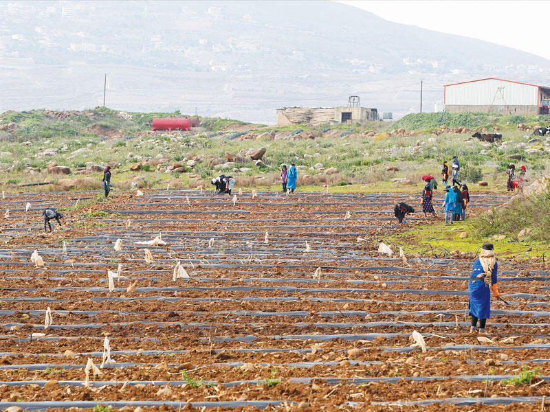 فلاحون في جنوب لبنان (رويترز)