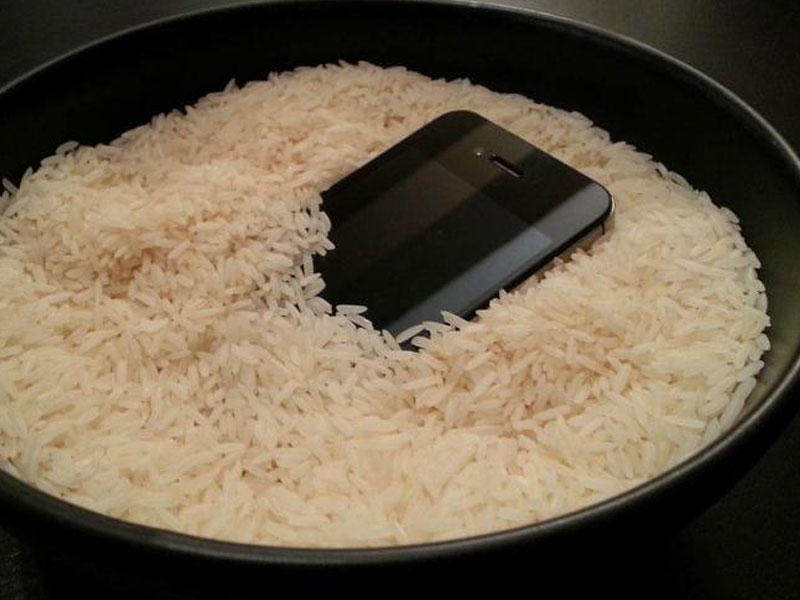 نقال مدفون في الأرز