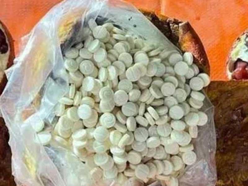 الحبوب المخدرة المهربة بالرمان من لبنان إلى السعودية
