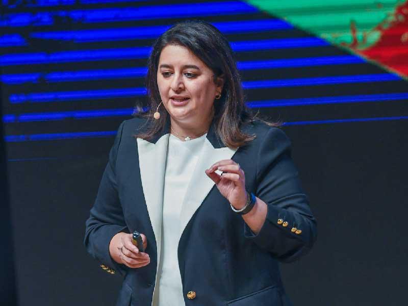  وزيرة الأشغال العامة وزيرة الدولة لشؤون الاتصالات وتكنولوجيا المعلومات د. رنا الفارس