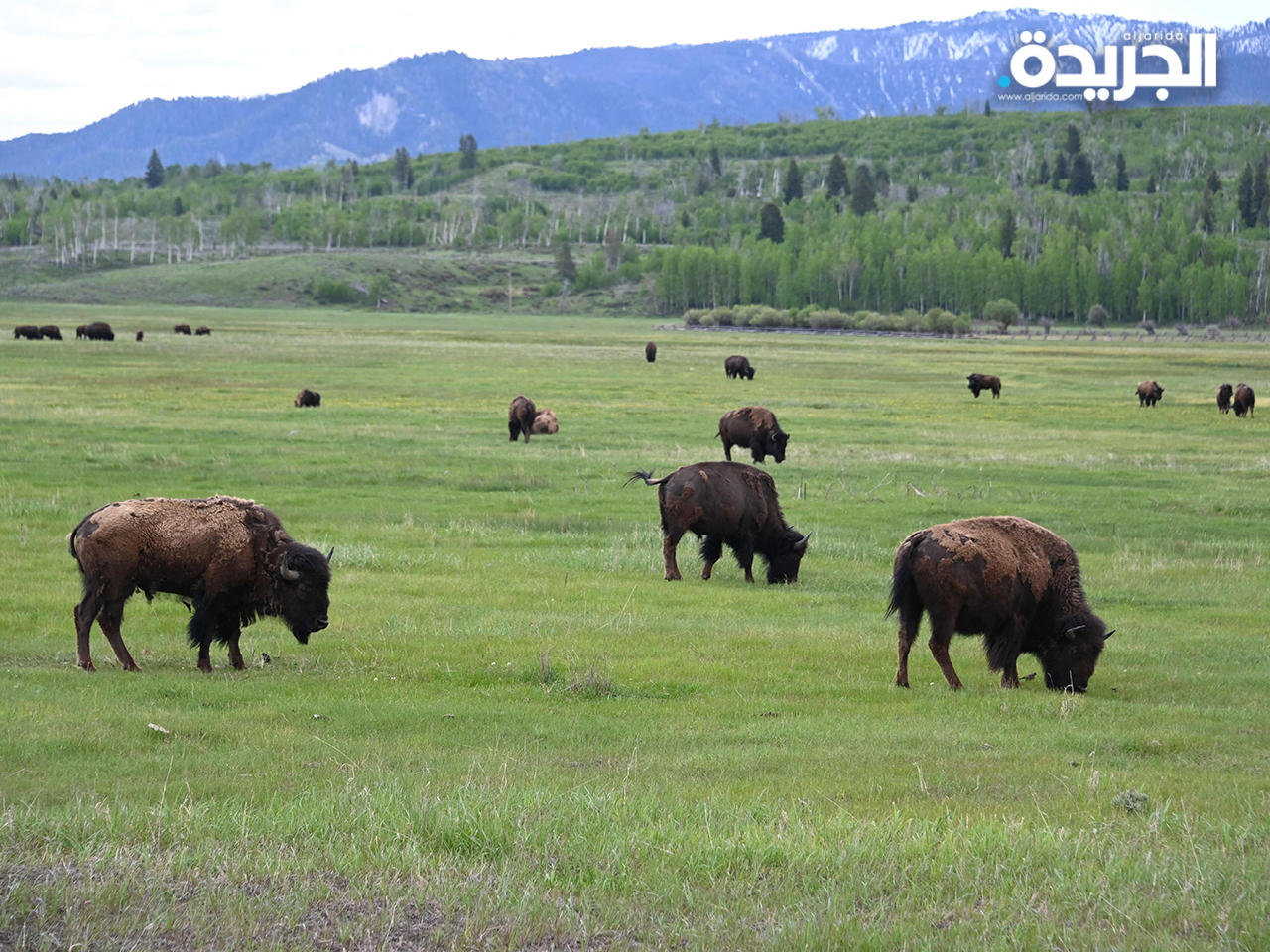 متنزه «غراند كانيون» الوطني في الولايات المتحدة
