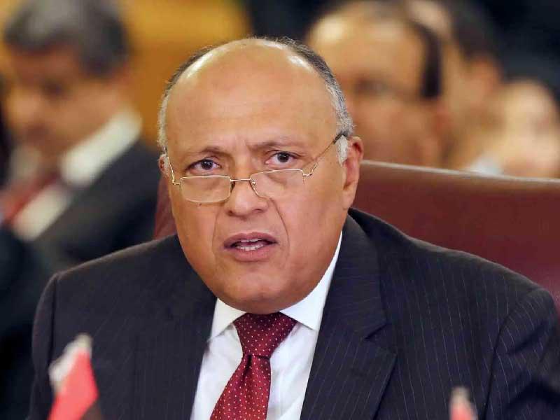 وزير الخارجية المصري سامح شكري