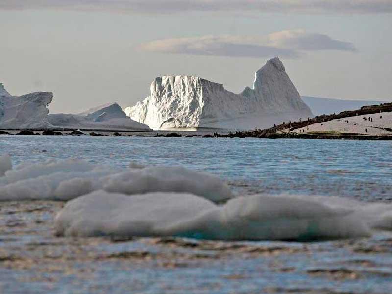 قطعة ضخمة من الجليد