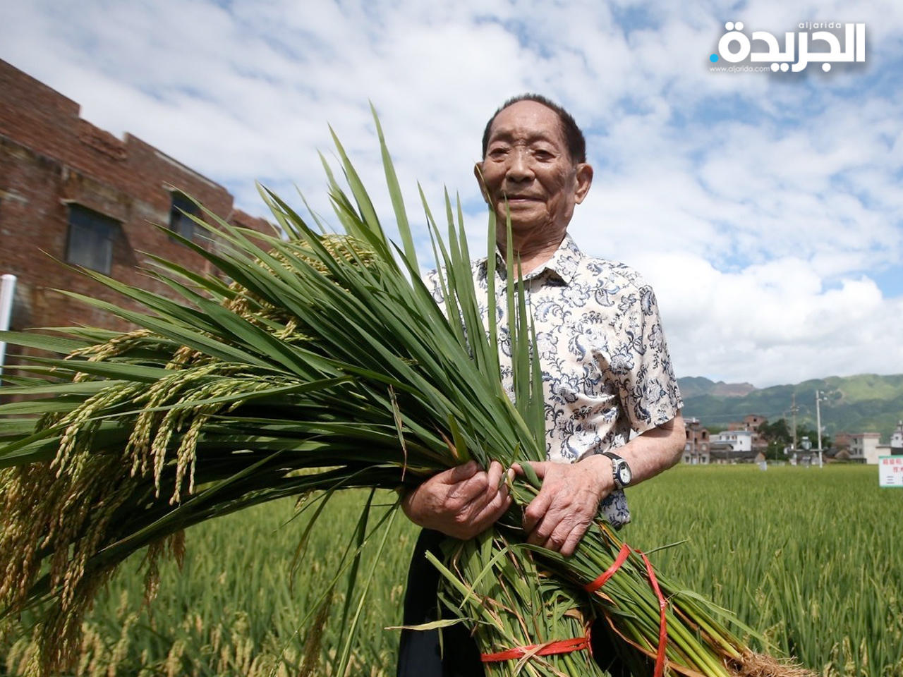 يوان لونغبينغ