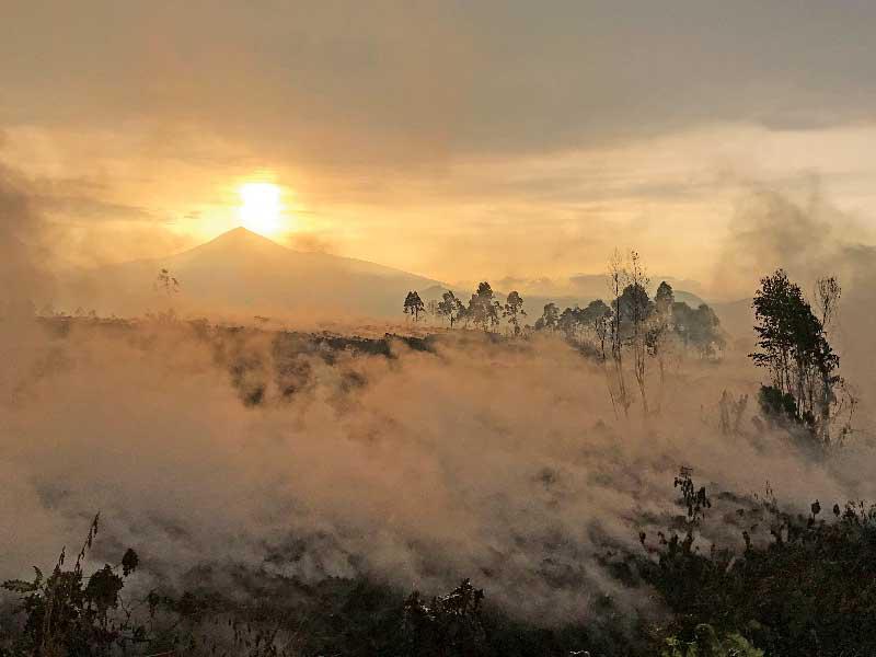 البركان نيراغونغو