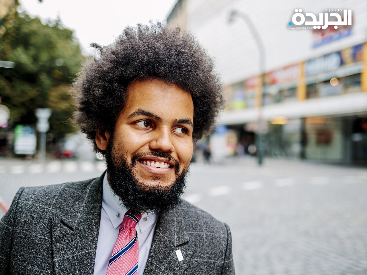 دومينيك فيري