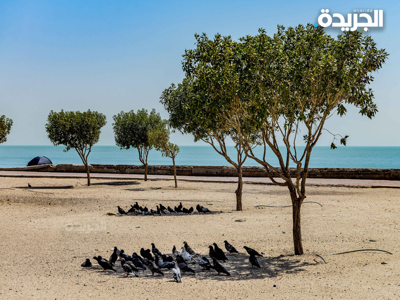 الحرارة تلامس الـ 50 درجة في موجة تستمر يومين