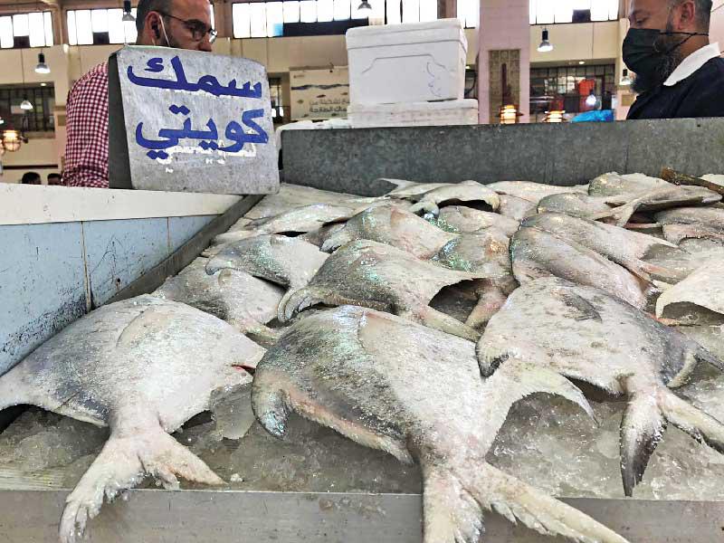 جانب من الزبيدي المتبقي في سوق السمك