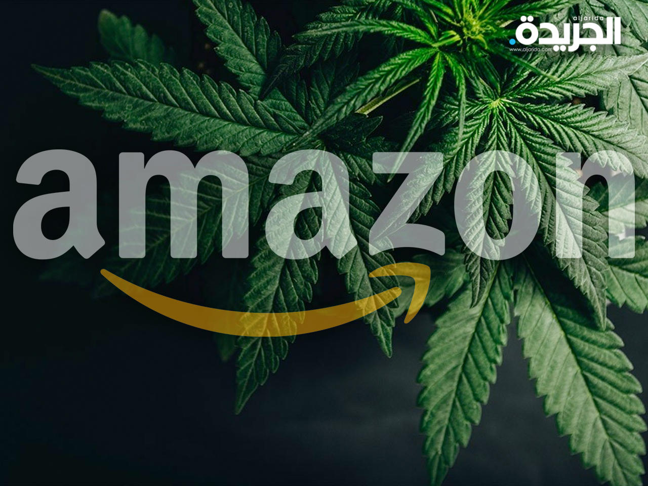 شركة أمازون