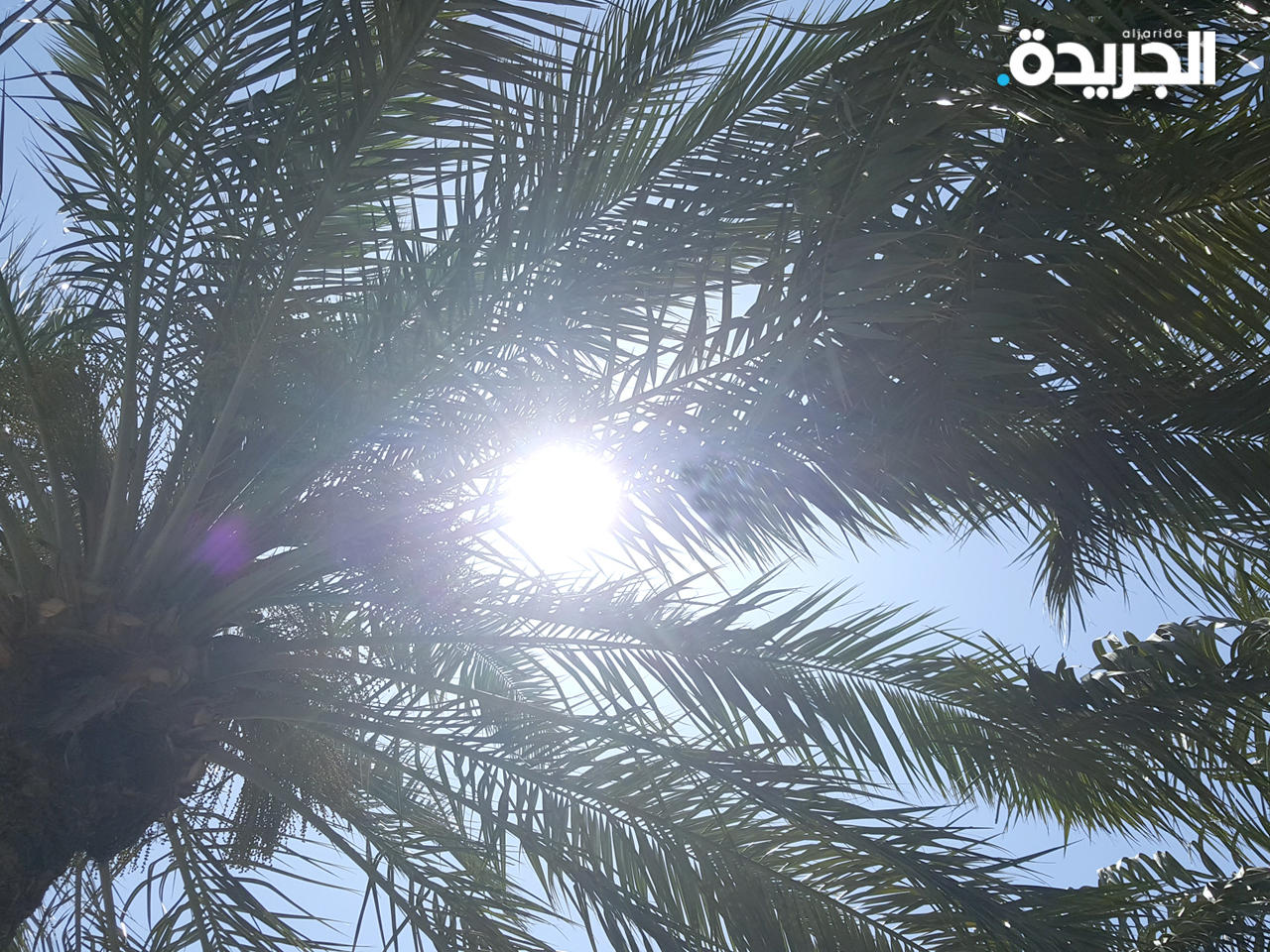 «الأرصاد»: الطقس شديد الحرارة والرياح قد تثير الغبار