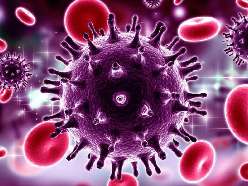 فيروس كورونا
