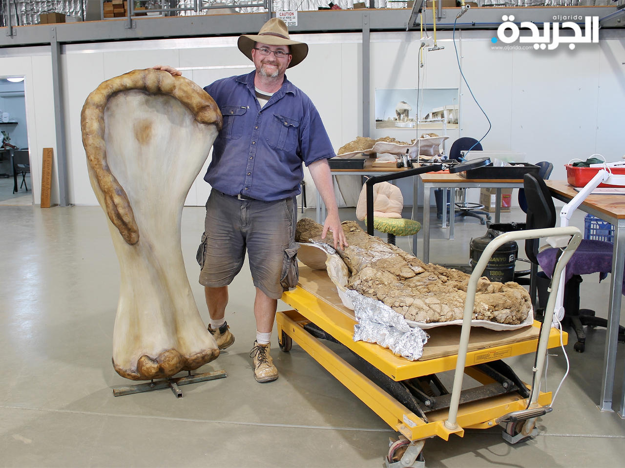 اكتشاف واحدة من أكبر فصائل الديناصورات في العالم بأستراليا