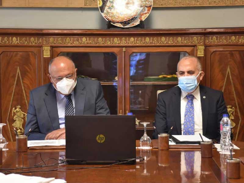 وزيرا الخارجية والري المصريان سامح شكري ومحمد عبدالعاطي 