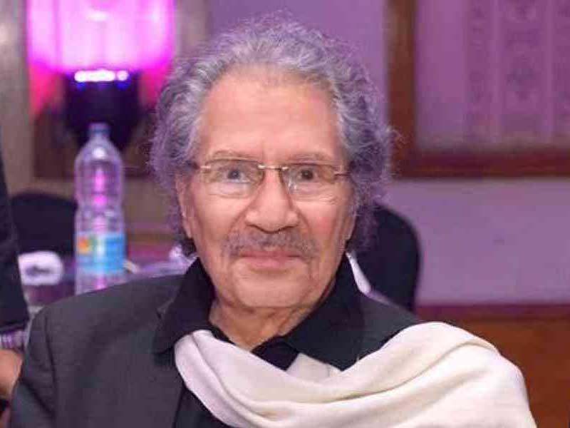 الفنان د. سناء شافع