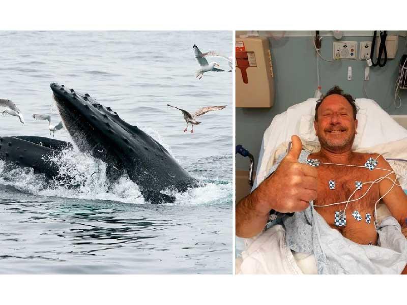 الغواص مايكل باكارد