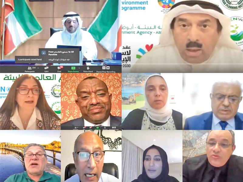 جانب من الورشة الافتراضية 