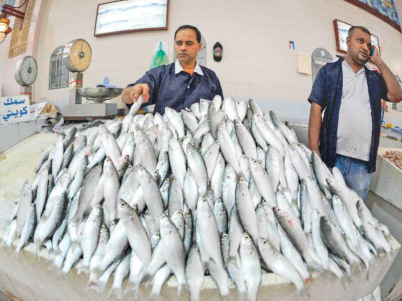 سمك «الميد» معروضاً بالأسواق مع بدء السماح بصيده