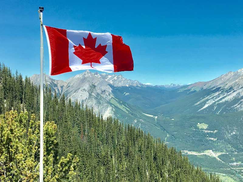 كندا تستقبل المزيد من اللاجئين هذا العامn